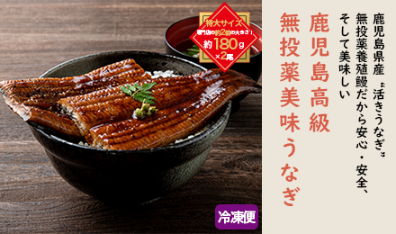山田水産謹製　鹿児島高級 無投薬美味うなぎ （特大約180g×2尾入り）【送料無料】≪冷凍便≫