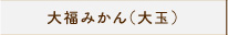 大福みかん（大玉）