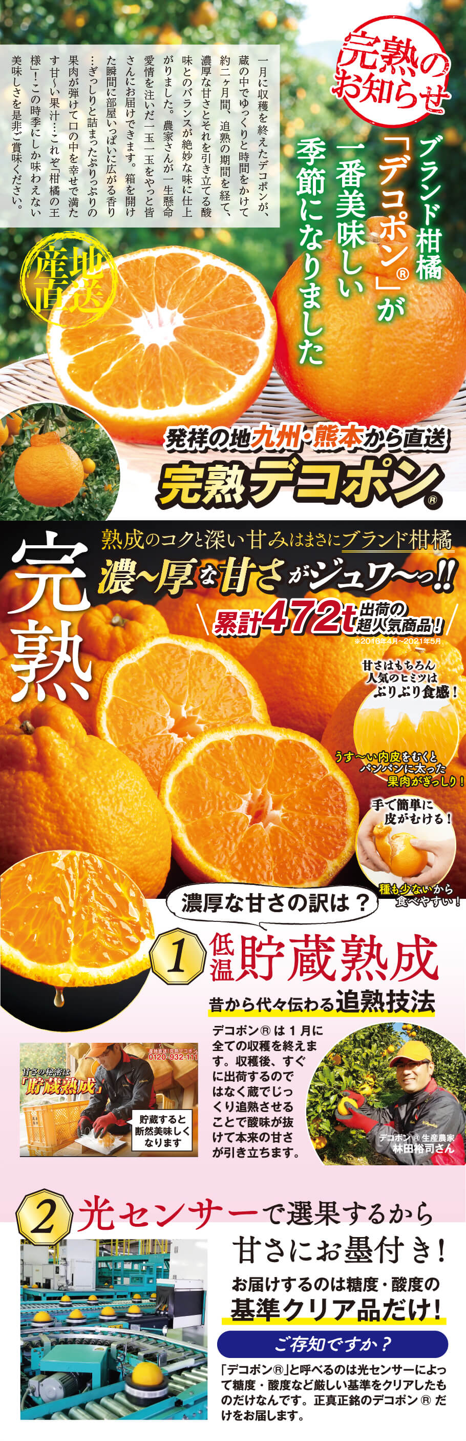 完熟のお知らせ ブランド柑橘「デコポン」が一番美味しい季節になりました 発祥の地九州・熊本から直送完熟デコポン 熟成のコクと深い甘みはまさにブランド柑橘 濃～厚な甘さがジュク～っ‼ 累計472t出荷の超人気商品！ 濃厚な甘さの訳は？①低温貯蔵熟成　昔から代々伝わる加熟技法 ②光センサーで選果するから甘さに墨付き！お届けするのは糖度・酸度の基準クリア品だけ！