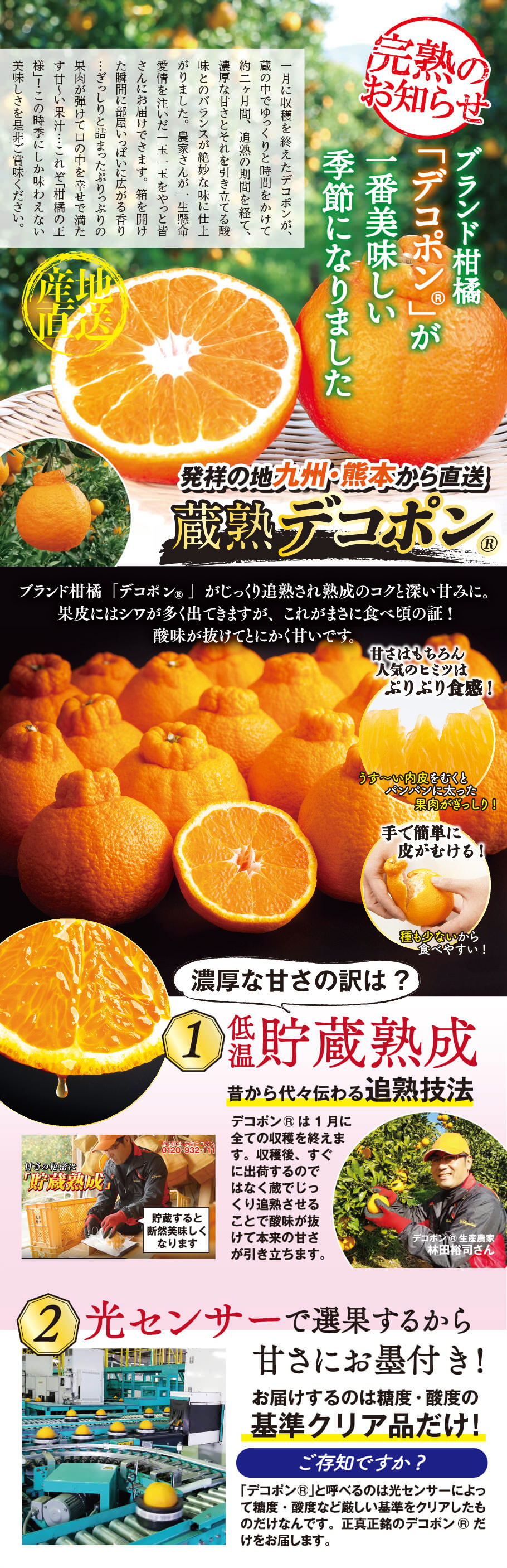 完熟のお知らせ ブランド柑橘「デコポン」が一番美味しい季節になりました 発祥の地九州・熊本から直送蔵熟デコポン 熟成のコクと深い甘みはまさにブランド柑橘 濃～厚な甘さがジュク～っ‼ 濃厚な甘さの訳は？①低温貯蔵熟成　昔から代々伝わる加熟技法 ②光センサーで選果するから甘さに墨付き！お届けするのは糖度・酸度の基準クリア品だけ！