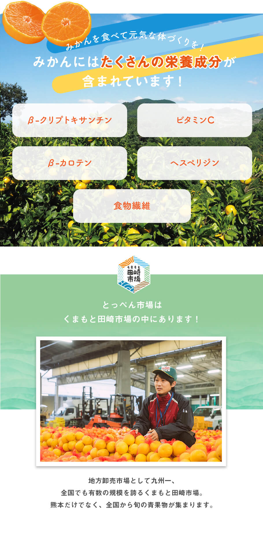 みかんを食べて元気な体づくりを！みかんにはたくさんの栄養成分が含まれています！　beta-クリプトキサンチン　ビタミンC　beta-カロテン　ヘスペリジン　食物繊維 　とっぺん市場はくまもと田崎市場の中にあります！地方御売市場として九州一、全国でも有数の規模を誇るくまもと田崎市場。熊本だけではなく、全国から旬の青果物が集まります
