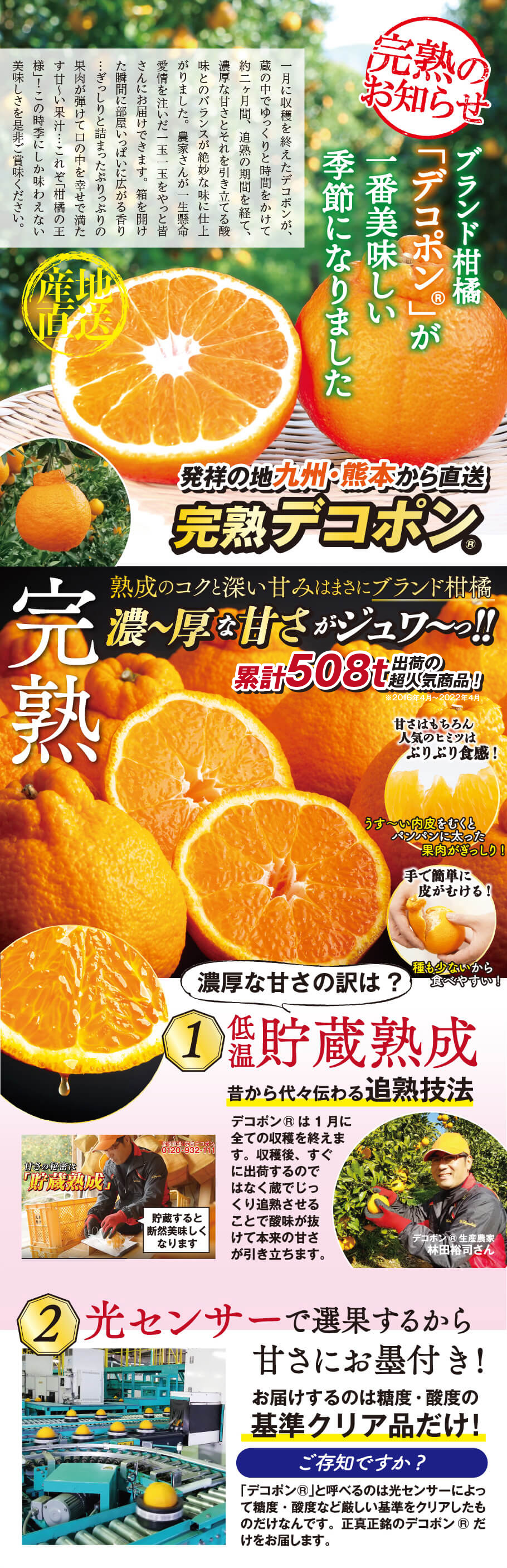 完熟のお知らせ ブランド柑橘「デコポン」が一番美味しい季節になりました 発祥の地九州・熊本から直送完熟デコポン 熟成のコクと深い甘みはまさにブランド柑橘 濃～厚な甘さがジュク～っ‼ 累計508t出荷の超人気商品！ 濃厚な甘さの訳は？①低温貯蔵熟成　昔から代々伝わる加熟技法 ②光センサーで選果するから甘さに墨付き！お届けするのは糖度・酸度の基準クリア品だけ！