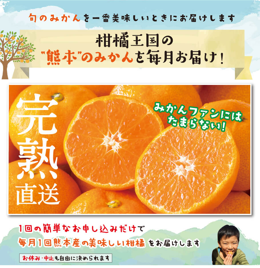 旬のみかんを一番美味しい時にお届けします　柑橘王国の”熊本”のみかんを毎月お届け！完熟直送　1回の簡単なお申し込みだけで毎月1回隈本産の美味しい柑橘をお届けます。お休み・中止も自由に決められます