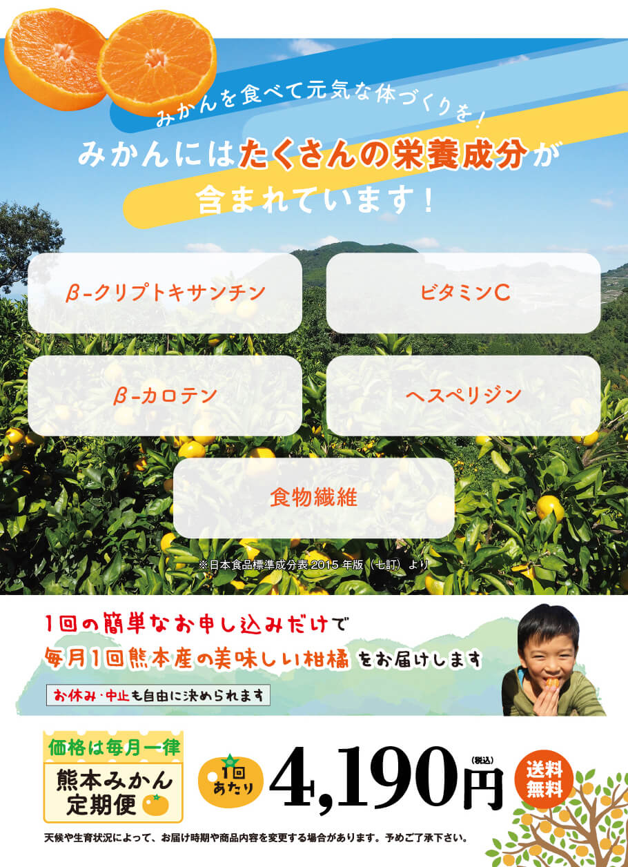 みかんを食べて元気な体づくりを！みかんにはたくさんの栄養成分が含まれています！　beta-クリプトキサンチン　ビタミンC　beta-カロテン　ヘスペリジン　食物繊維　1回の簡単なお申し込みだけで毎月1回隈本産の美味しい柑橘をお届けます。お休み・中止も自由に決められます　価格は毎月一律　熊本みかん定期便　1回あたり4,190円（税込）送料無料