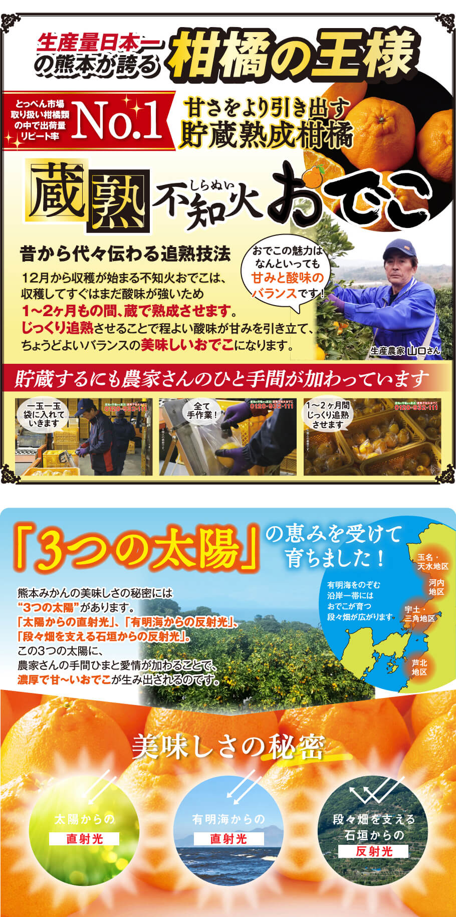 生産量日本一の熊本から誇る柑橘の王様　とっぺん市場取り扱い柑橘類の中で出荷量リード率No1　甘さをより引き出す貯蔵熟成柑橘　蔵熟不知火おでこ　昔から代々伝わるか熟技法　12月から収穫が始まる不知火おでこは、収穫してすぐはまだ酸味が強いため1～2ヶ月の間、蔵で熟成させます。じっくり追熟させることで程良い酸味が甘みを引き立て、ちょうどよいバランスの美味しいおでこになります。貯蔵するにも農家さんのひと手間が加わっています。　「3つの太陽」の恵みを受けて育ちました！熊本みかんの美味しさの秘密には”3つの太陽”があります。「太陽からの直射光」、「有明梅からの反射光」、「段々畑を支える石垣からの反射光」。この3つの太陽に、農家さんの手間ひまと愛情が加わることで、濃厚で甘～いおでこが生み出されるのです。