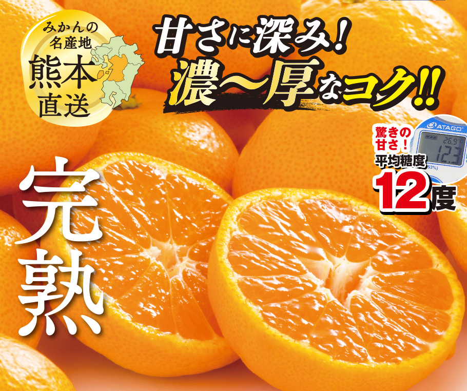 みかんの名産地熊本直送　甘さに深み！濃～厚なコク。平均糖度12度！