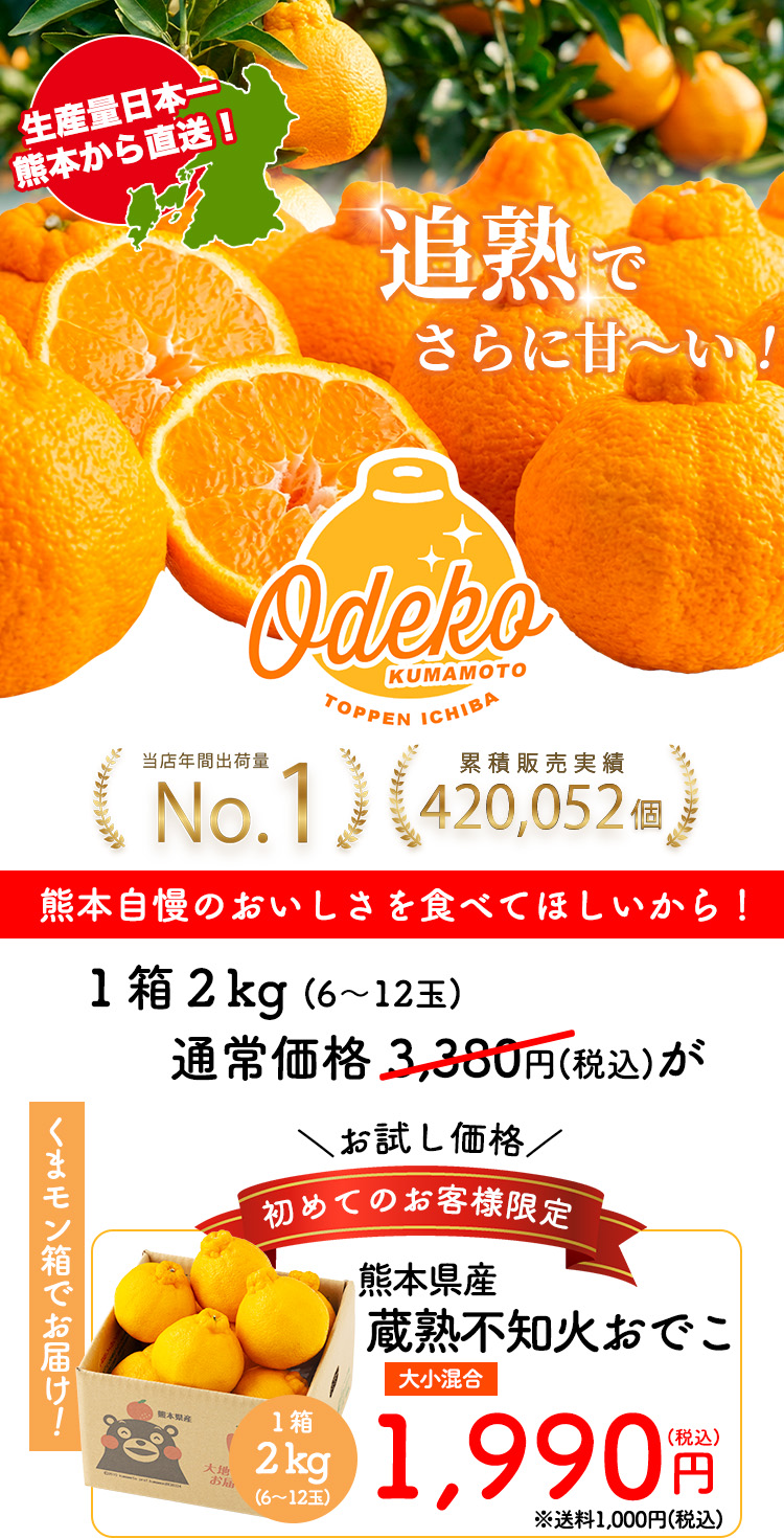 初回限定】不知火おでこがお試し価格！