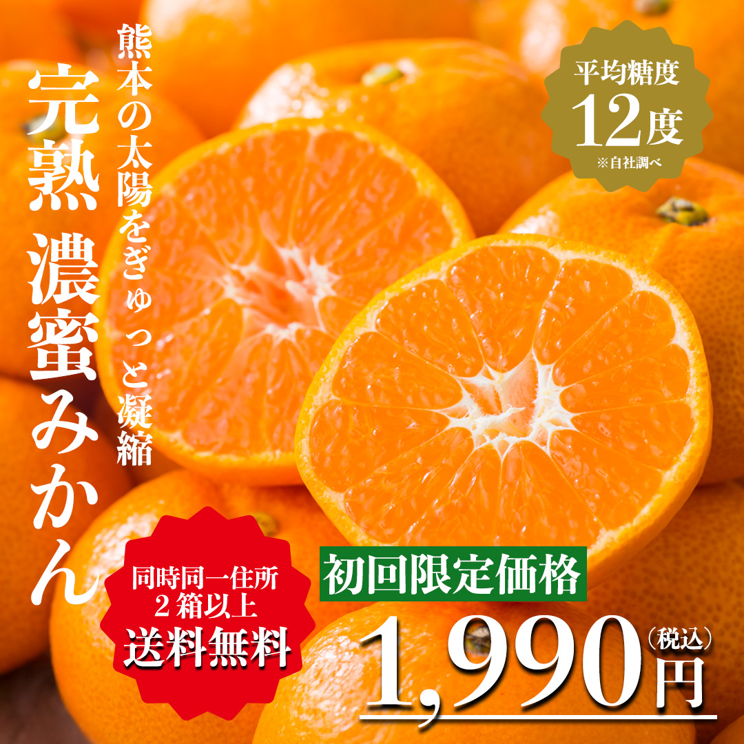 濃蜜みかん