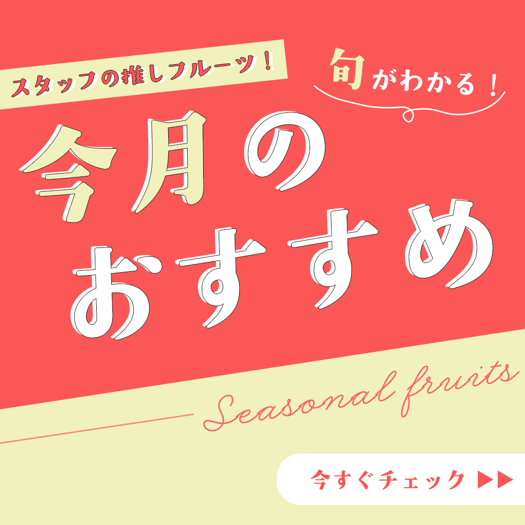 今月のおすすめ