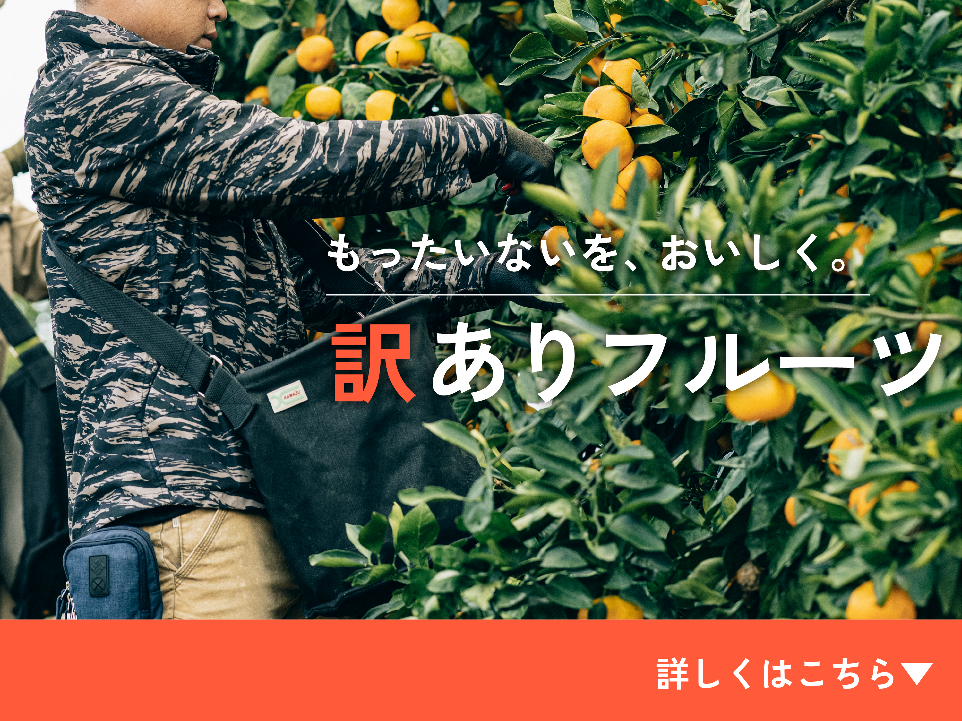 訳ありフルーツ"