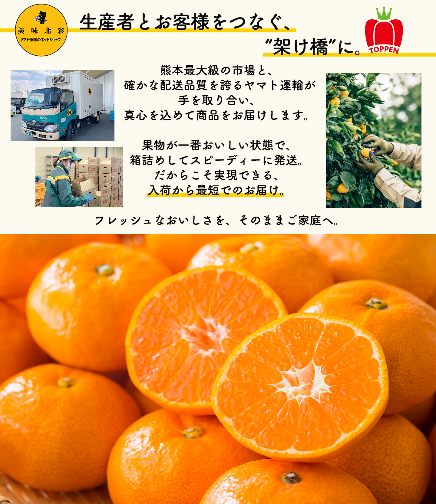 “ヤマトコラボバナー、生産者とお客様をつなぐ、架け橋に。