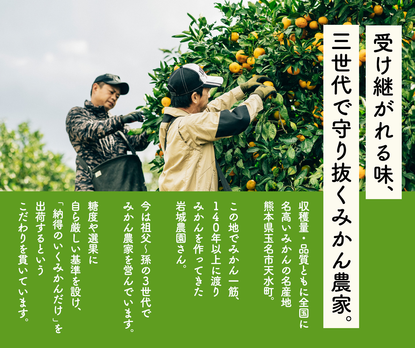 岩城さんのこだわりみかん“とろ蜜柑” 約3kg【送料無料】 - とっぺん市場