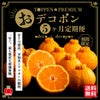 おでこ＆デコポン短期定期便（１～５月限定/月1回お届け 価格は毎月一律）送料無料