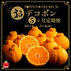 おでこ＆デコポン短期定期便（１～５月限定/月1回お届け 価格は毎月一律）送料無料