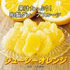 ヤミつき柑橘！ジューシーオレンジ（河内晩柑）約4kg（９～1６玉）【送料無料】
