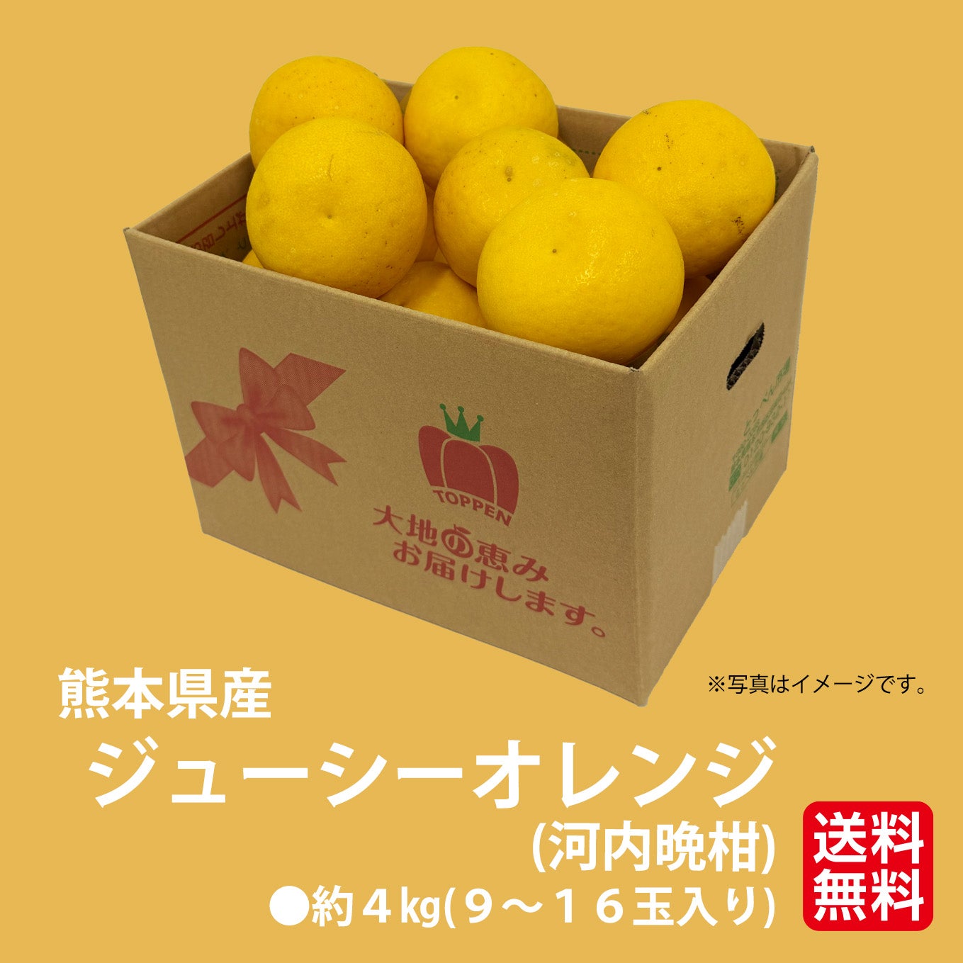 ヤミつき柑橘！ジューシーオレンジ（河内晩柑）約4kg（9～16玉