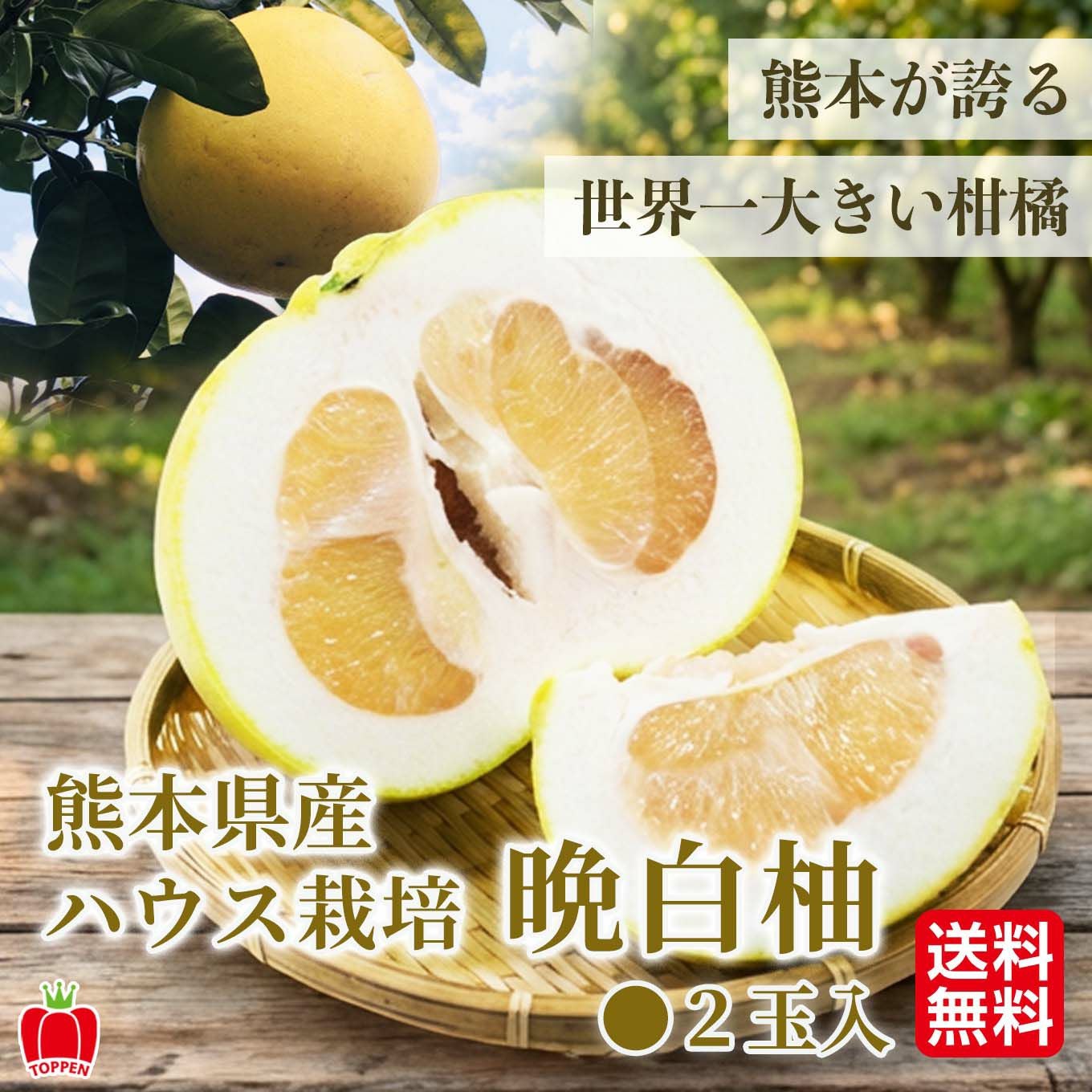 みかん・柑橘類 - 果物・フルーツのお取り寄せ通販【とっぺん市場】