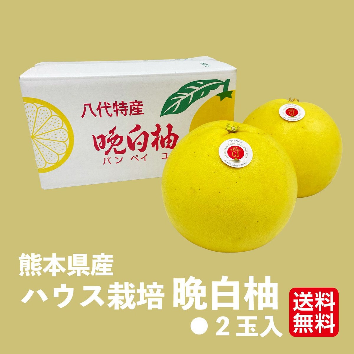 熊本県産　ハウス栽培　晩白柚　2玉入（１玉：1.6ｋｇ以上）【送料無料】