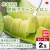 熊本の隠れた名品！肥後グリーンメロン （2玉入）【送料無料】