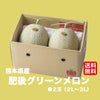 熊本の隠れた名品！肥後グリーンメロン （2玉入）【送料無料】