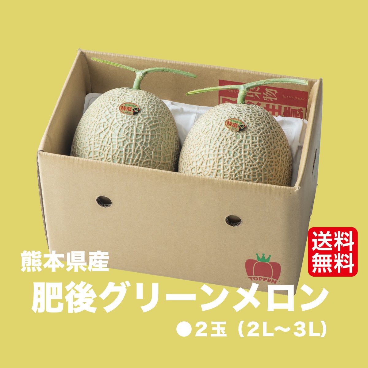 熊本の隠れた名品！肥後グリーンメロン （2玉入）【送料無料】