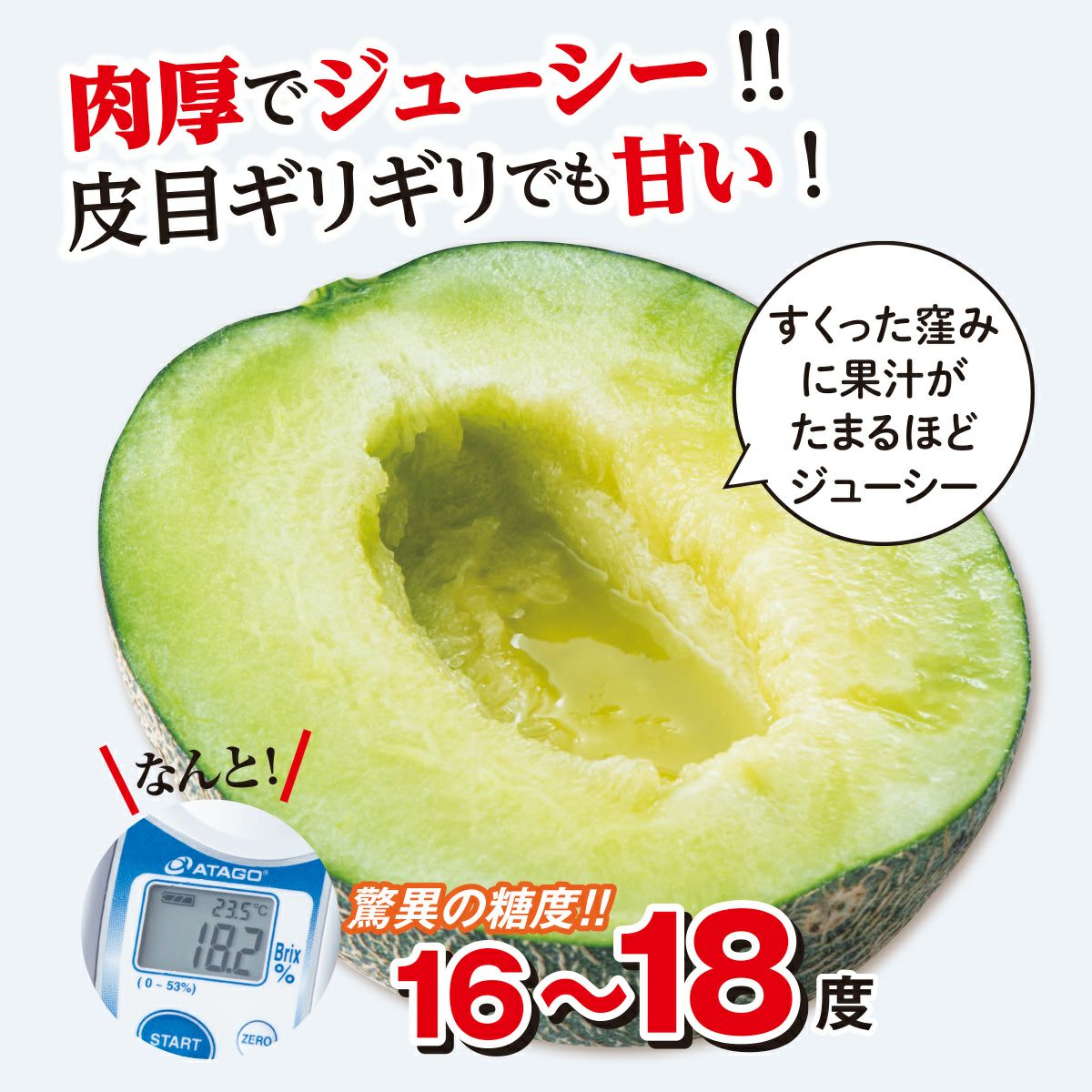 熊本の隠れた名品！肥後グリーンメロン （2玉入）【送料無料】 - とっ
