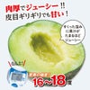 熊本の隠れた名品！肥後グリーンメロン （2玉入）【送料無料】
