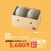 熊本の隠れた名品！肥後グリーンメロン （2玉入）【送料無料】