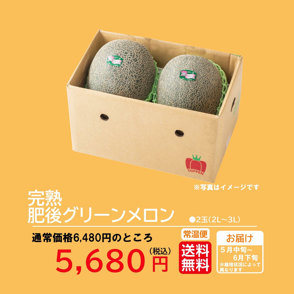 熊本の隠れた名品！肥後グリーンメロン （2玉入）【送料無料】