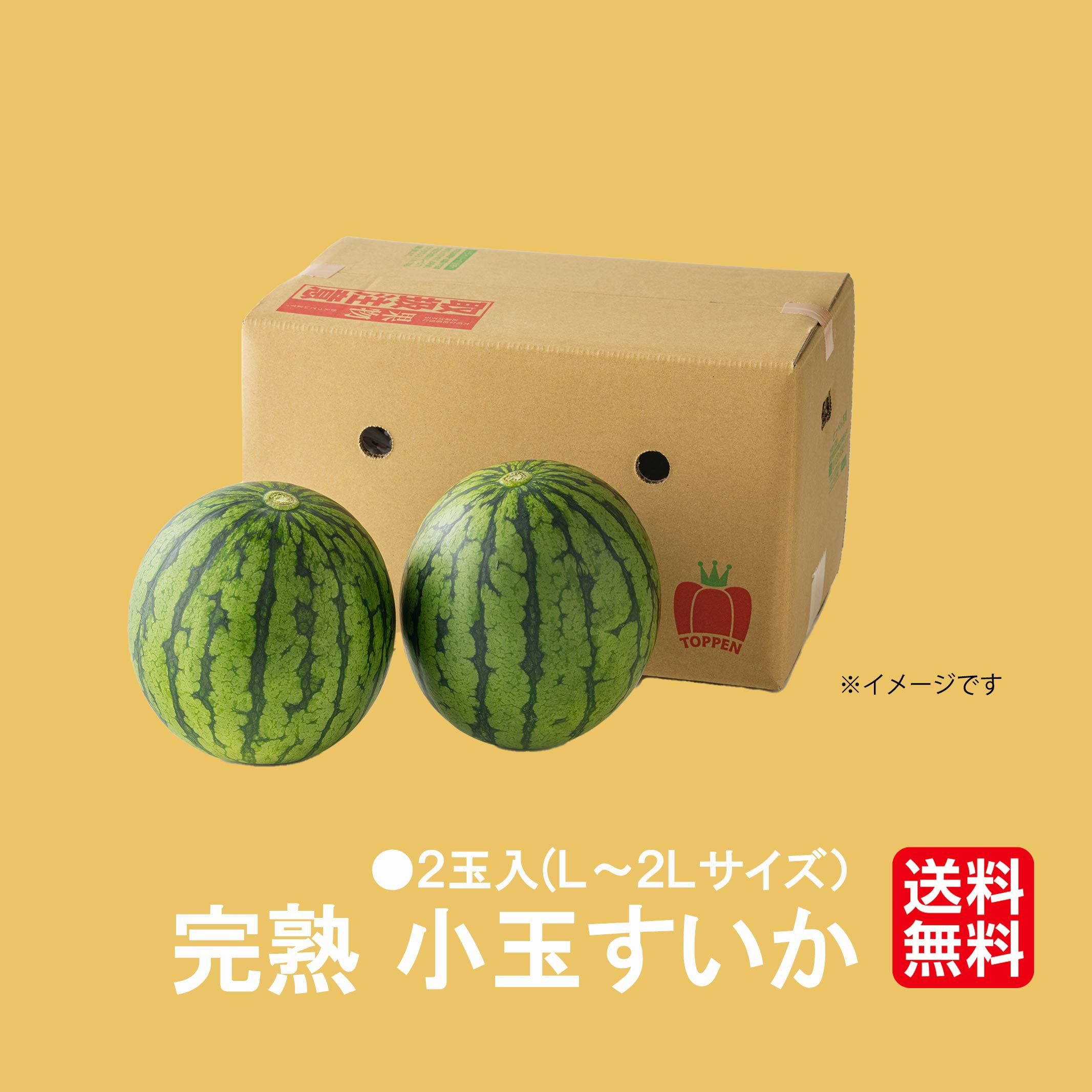 熊本県産 小玉すいか 2玉（1玉：1.5kg以上）【送料無料】 - 少人数家族