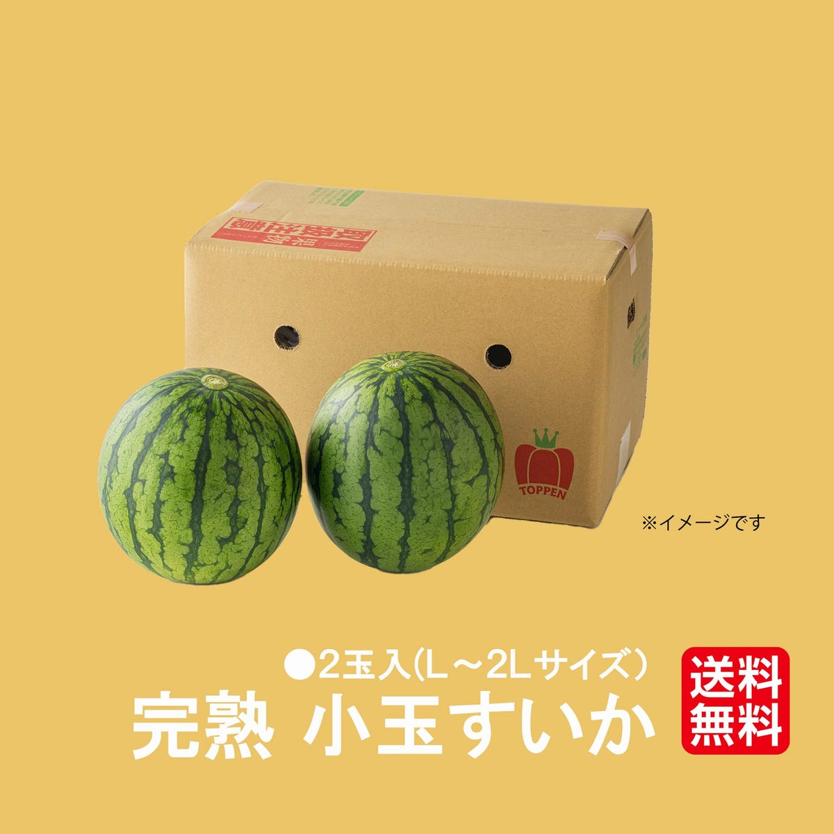 少人数家族にもおススメ！熊本県産 小玉すいか 2玉【送料無料