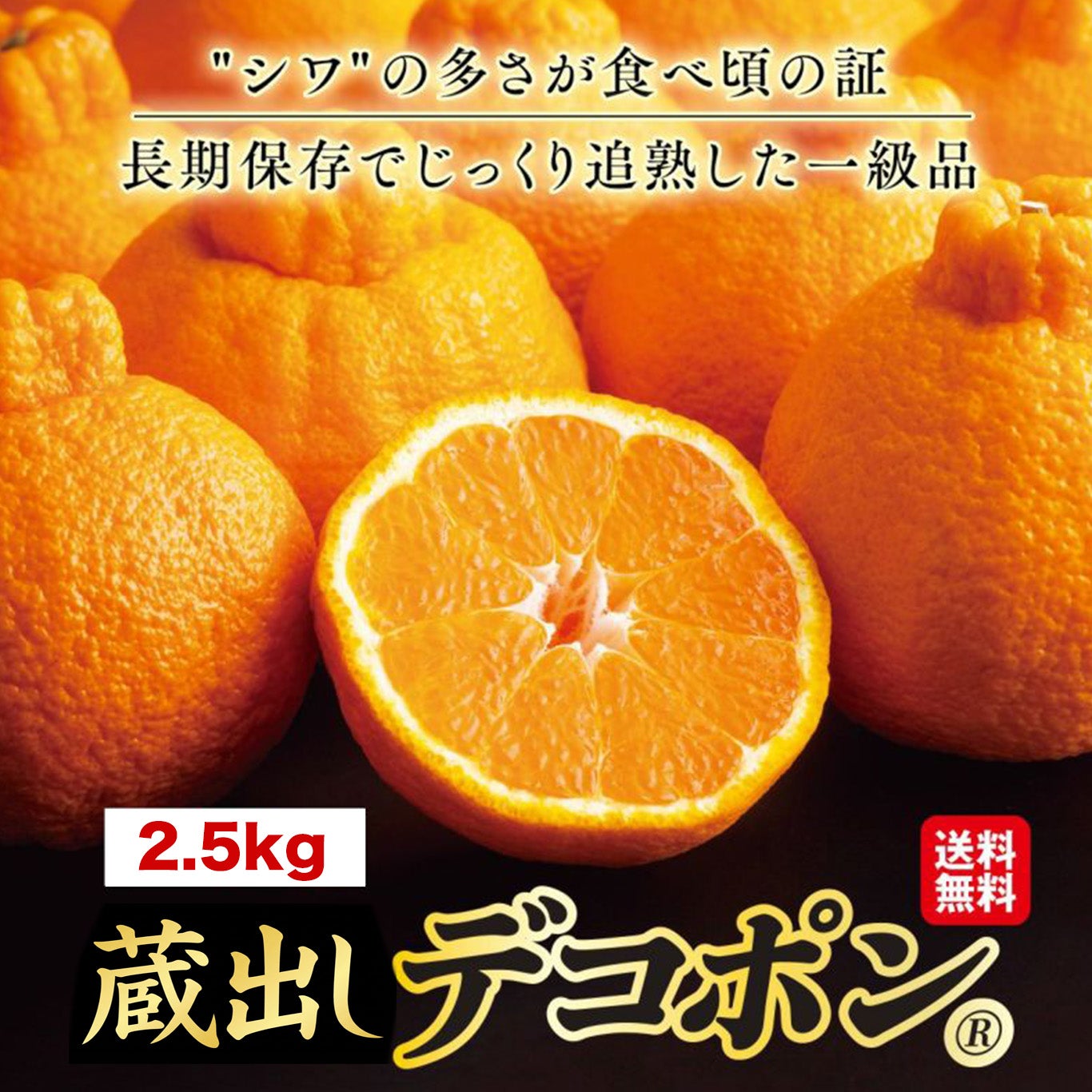 長期熟成 蔵出しデコポン 約2.5kg（10～14玉入り ）【送料無料
