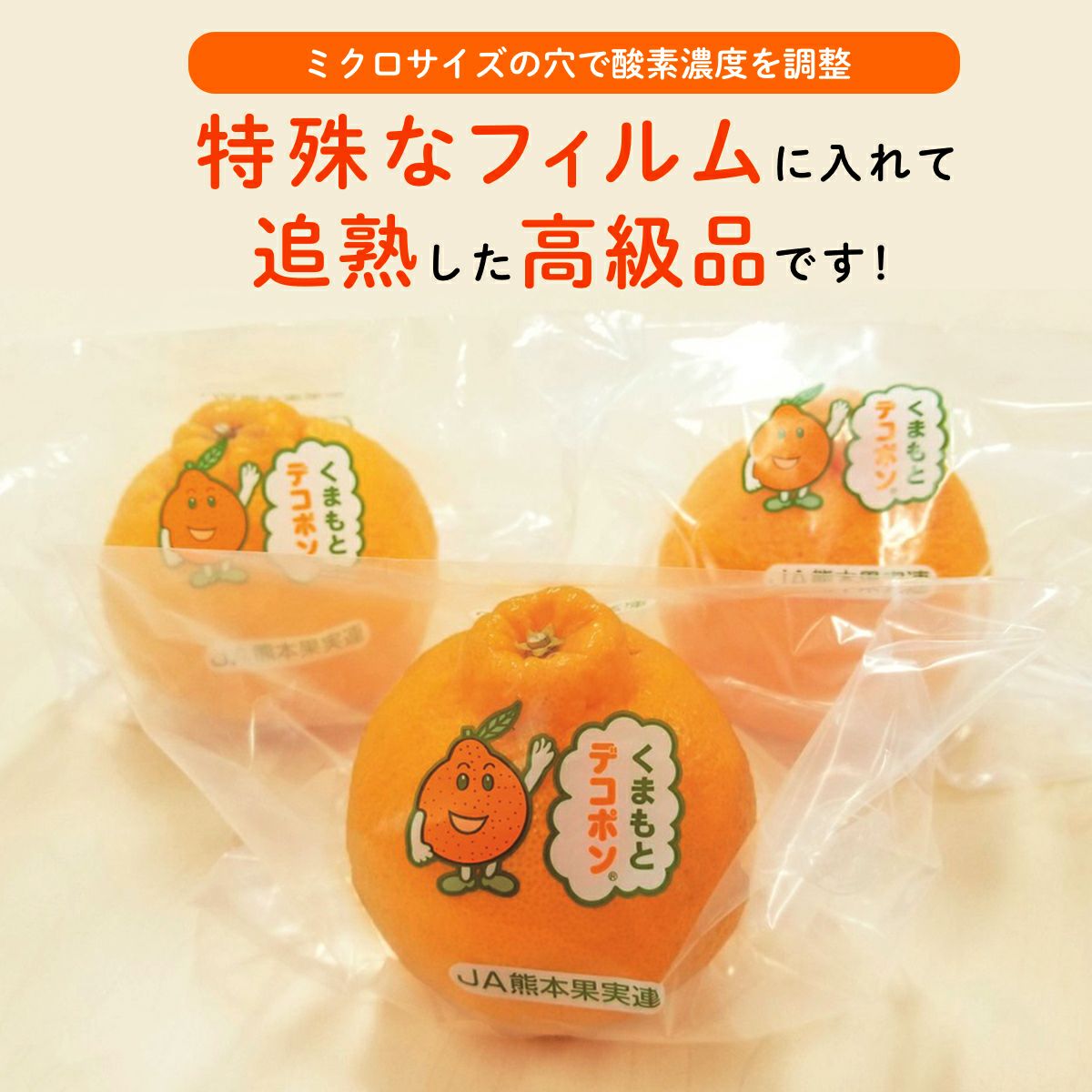 長期熟成 蔵出しデコポン 約2.5kg（10～14玉入り ）【送料無料