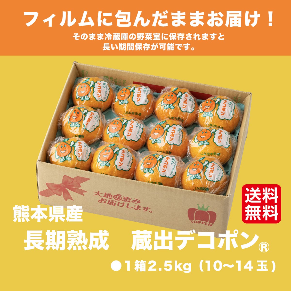 長期熟成 蔵出しデコポン 約2.5kg（10～14玉入り ）【送料無料】