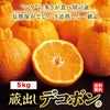 長期熟成　蔵出しデコポン 約5kg（20～24玉入り ）【送料無料】
