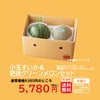 どっちも食べたい！ 小玉すいか＆肥後グリーンメロンセット【送料無料】