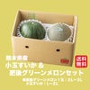 どっちも食べたい！ 小玉すいか＆肥後グリーンメロンセット【送料無料】