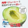 どっちも食べたい！ 小玉すいか＆肥後グリーンメロンセット【送料無料】