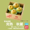 熊本産 ブランド梨『秋麗～しゅうれい～』 約2.5kg　（6～10玉入）　【送料無料】