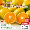 一番出荷　温州みかん（極早生） 約5kg（45～90玉前後 L～Sサイズ）【送料無料】