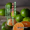 一番出荷　温州みかん（極早生） 約5kg（45～90玉前後 L～Sサイズ）【送料無料】
