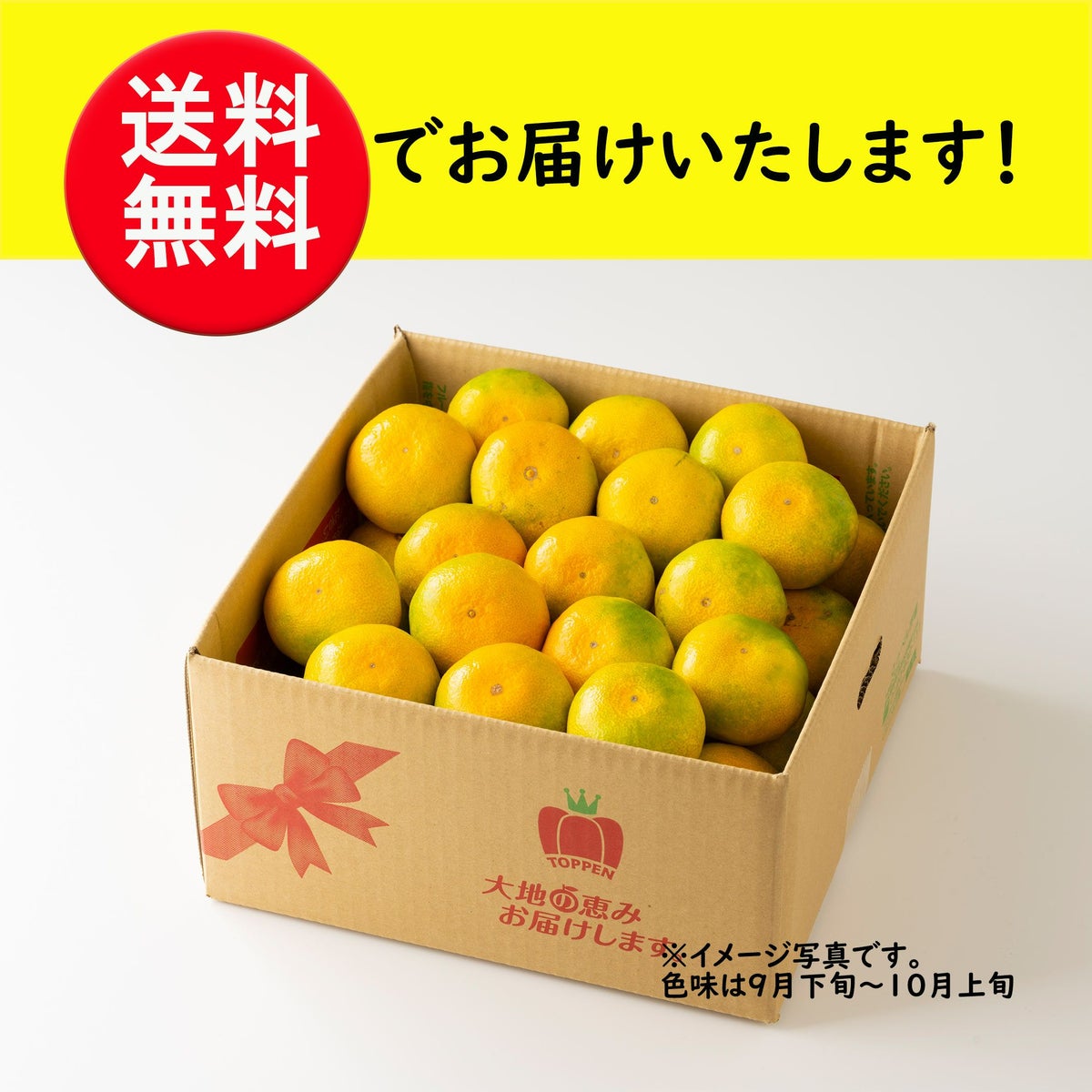 一番出荷　温州みかん（極早生） 約5kg（45～90玉前後 L～Sサイズ）【送料無料】