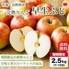完熟　早生ふじ　りんご 約2.5kg（7～10玉入）【送料無料】
