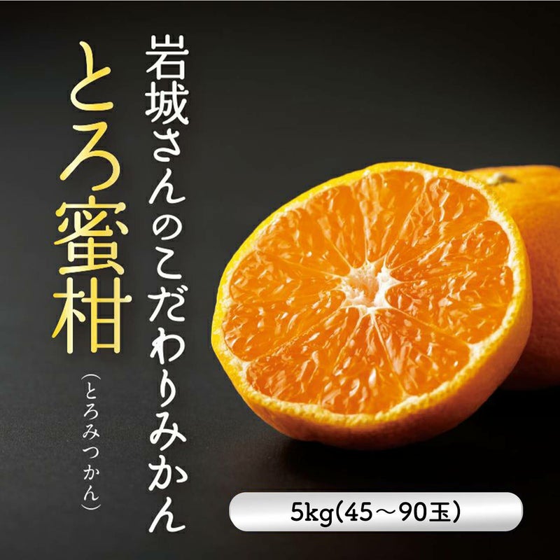 岩城さんのこだわりみかん“とろ蜜柑” 5kg（50～90玉／L～Sサイズ）【送料無料】