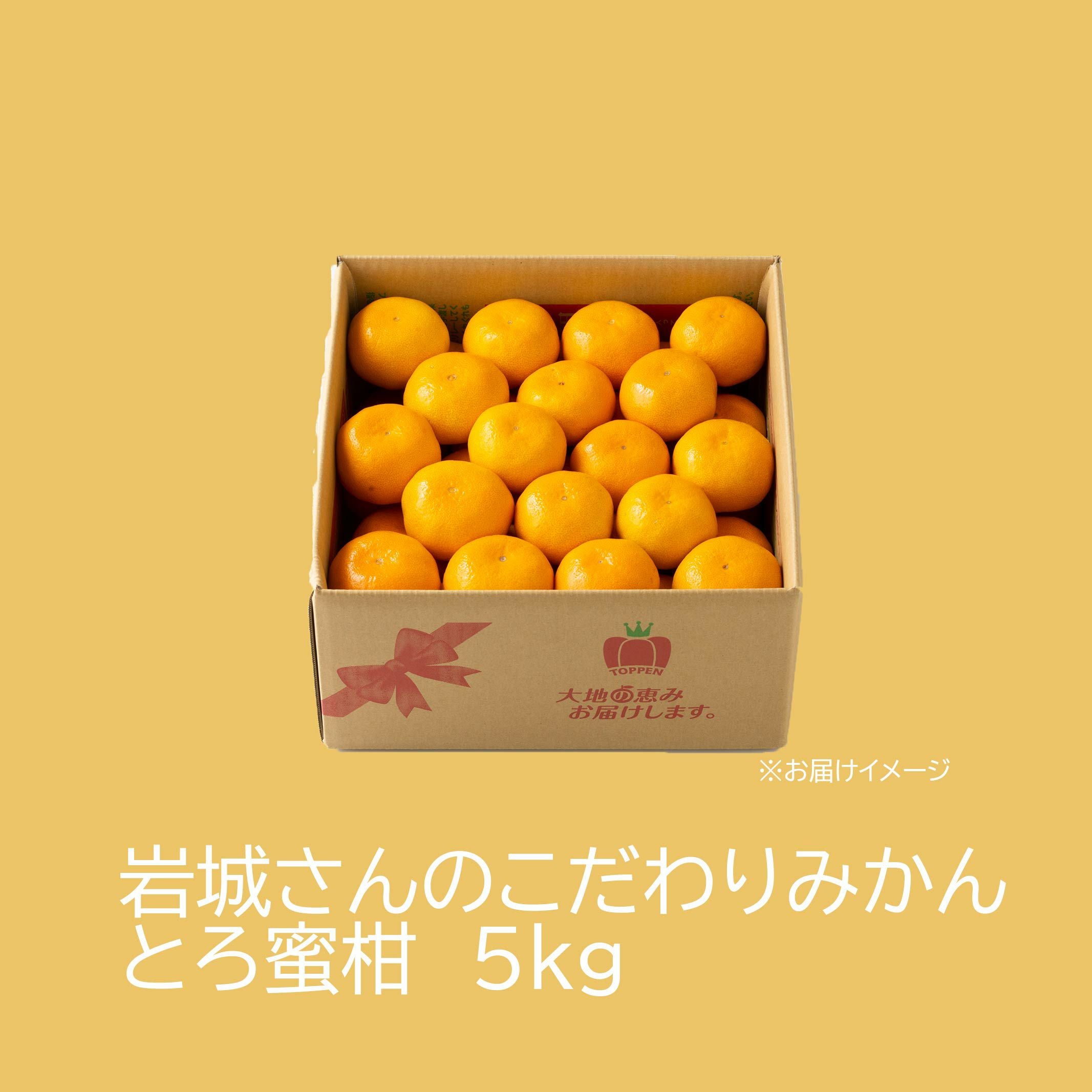 蜜柑ページ 岩城さんのこだわりみかん“とろ蜜柑” 5kg（50～90玉／L～Sサイズ