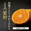  岩城さんのこだわりみかん“とろ蜜柑” 約3kg【送料無料】