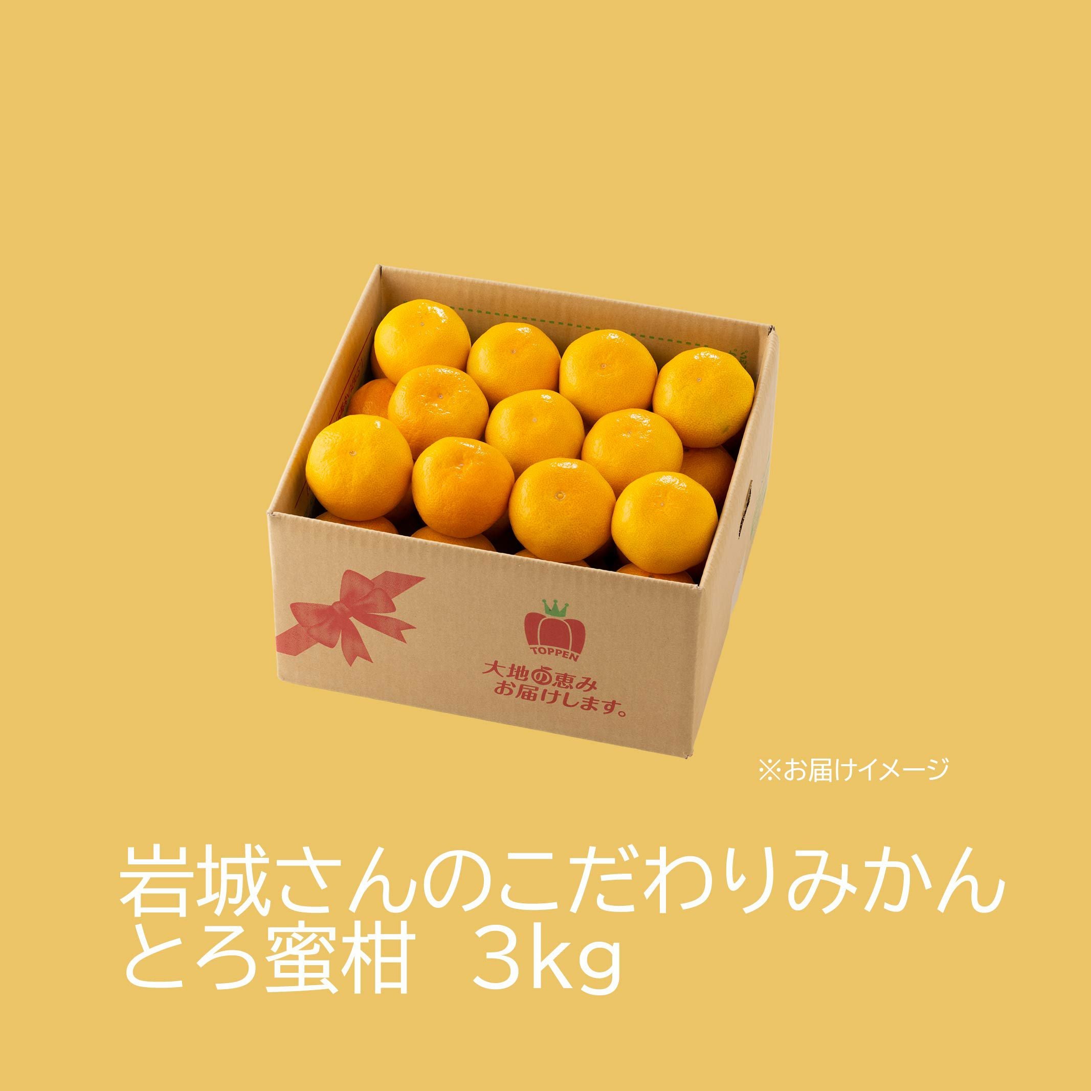 岩城さんのこだわりみかん“とろ蜜柑” 約3kg【送料無料】 - とっぺん市場