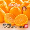 熊本県産　ハウスデコポン　約1.8kg（6～8玉／化粧箱入）【送料無料】