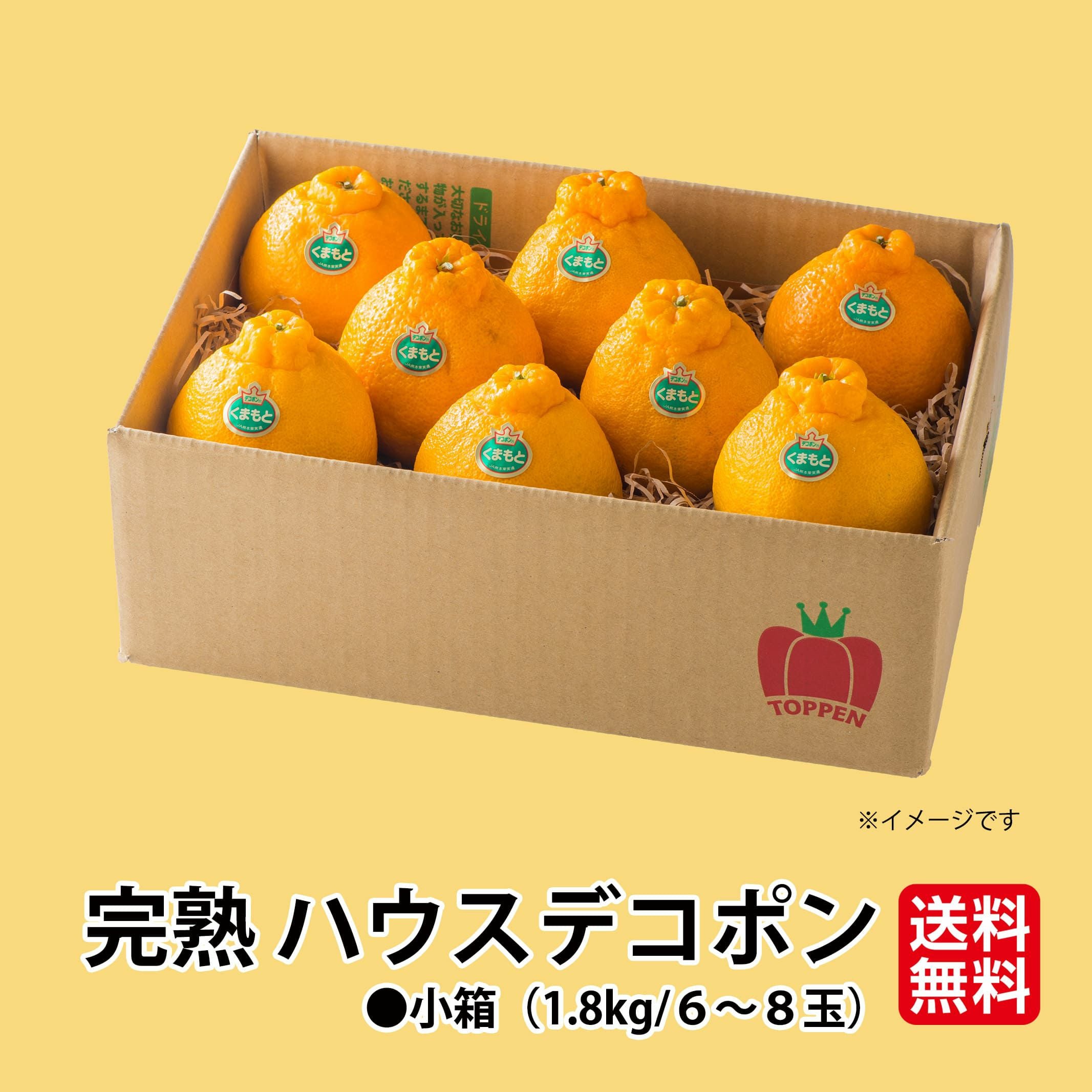 不知火（デコポン）ハウス物　熊本県産　数箱限定 熊本県産 ハウスデコポン 小箱 約1.8kg（6～8玉）【送料無料】 - とっ