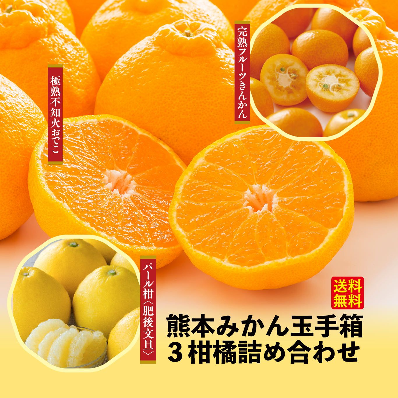 熊本みかん玉手箱 3柑橘詰め合わせ 約3.4kg【送料無料】 - とっ